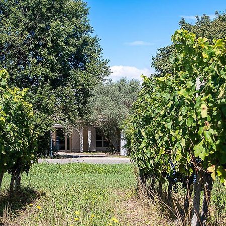 Au Detour Des Vignes Panzió Ordonnac Kültér fotó