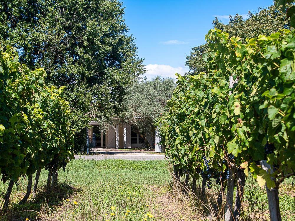 Au Detour Des Vignes Panzió Ordonnac Kültér fotó